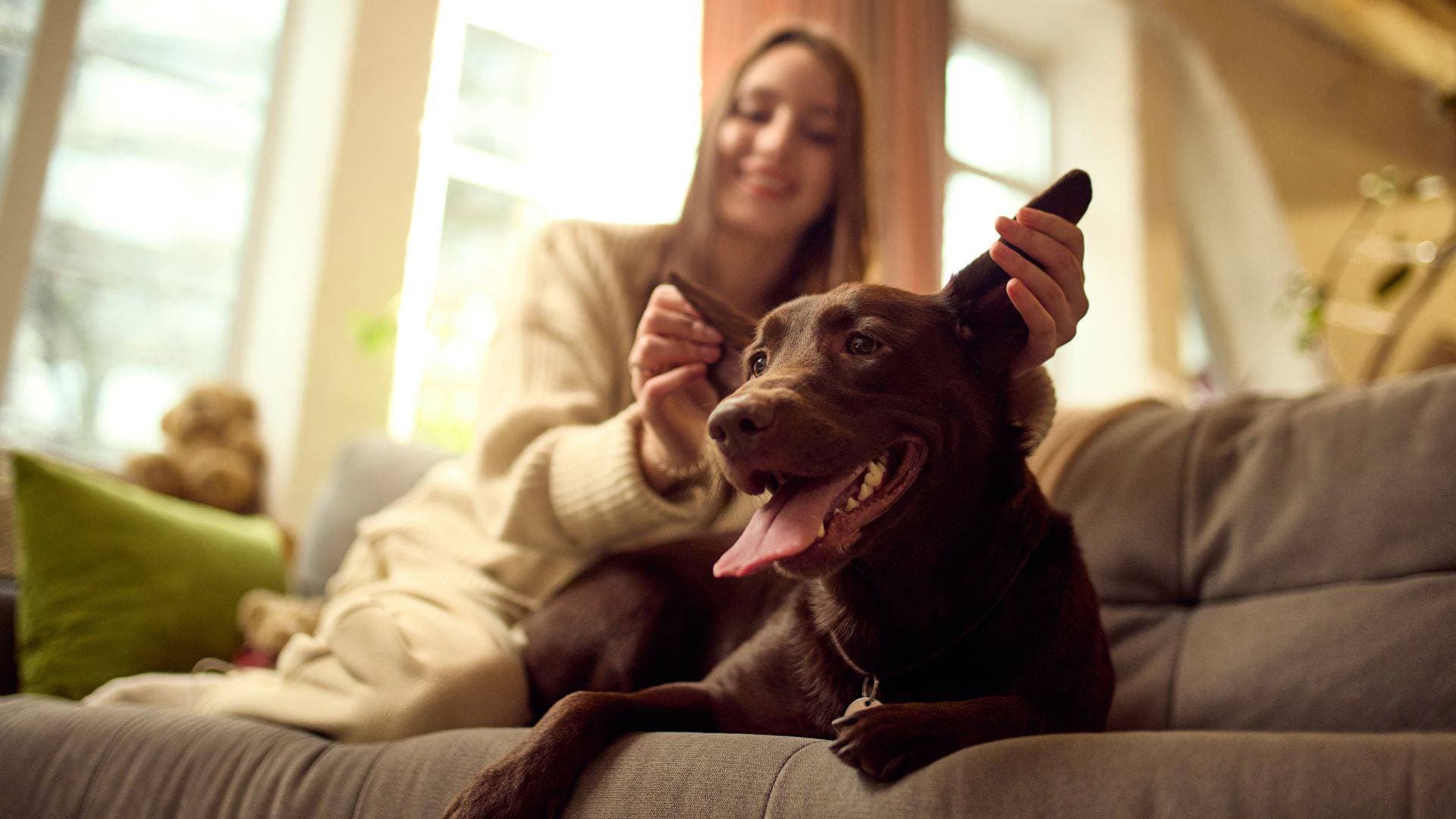 Can I refuse a tenant’s request to keep a pet?